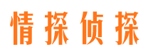 桑日市婚姻调查